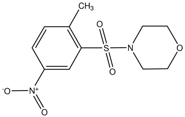 4-(2-Methyl-5-nitrophenylsulfonyl)morpholine