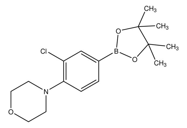 3-Chloro-4-(4-morpholinyl)benzeneboronic acid pinacol ester