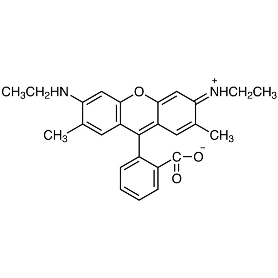 Rhodamine 19