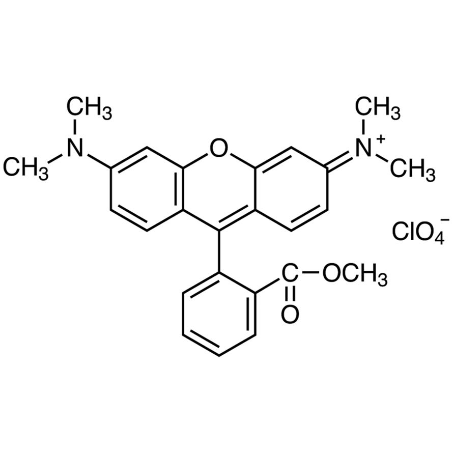 Tetramethylrhodamine Methyl Ester Perchlorate