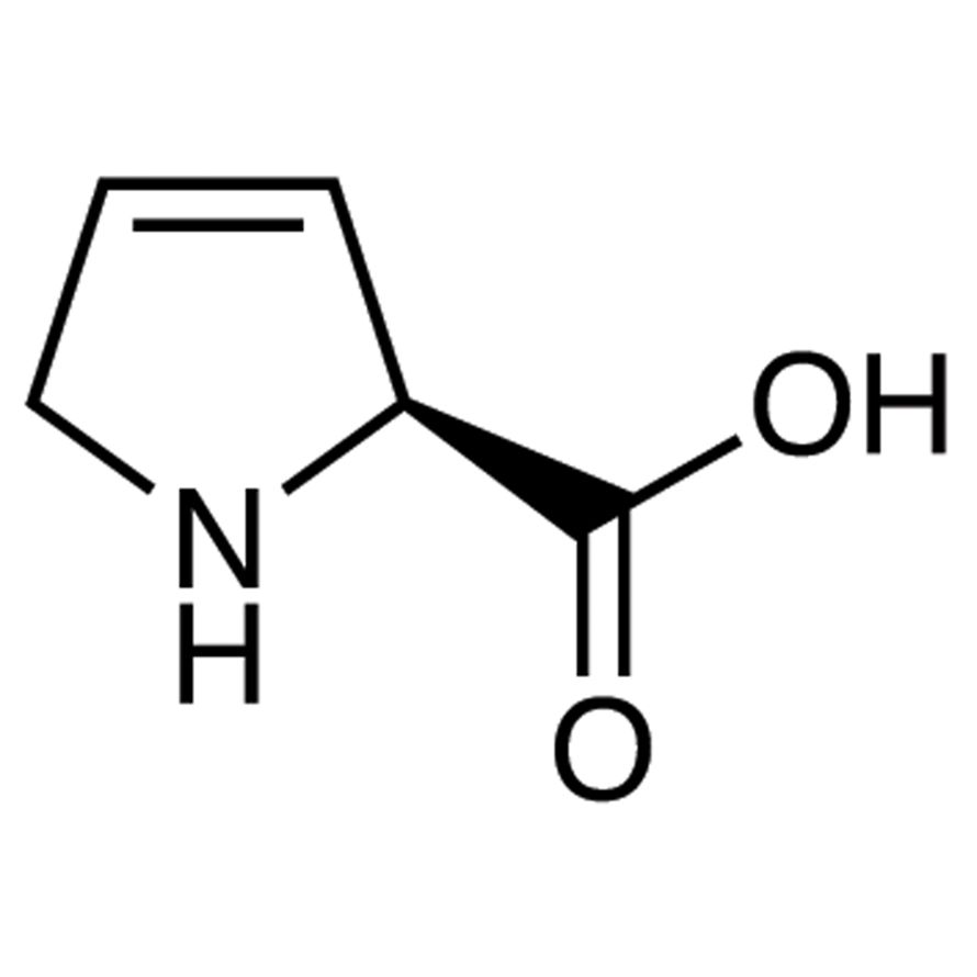 3,4-Dehydro-L-proline