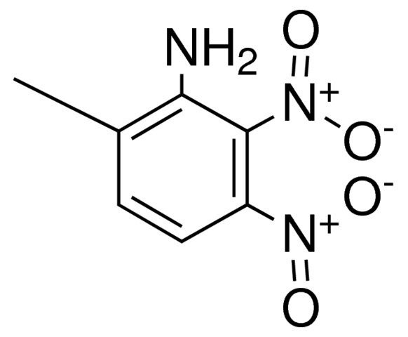 2,3-DINITRO-6-METHYLANILINE