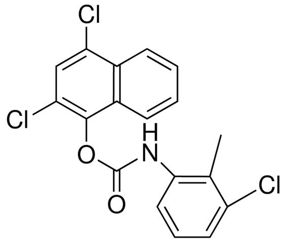 2,4-DICHLORO-1-NAPHTHYL N-(3-CHLORO-2-METHYLPHENYL)CARBAMATE