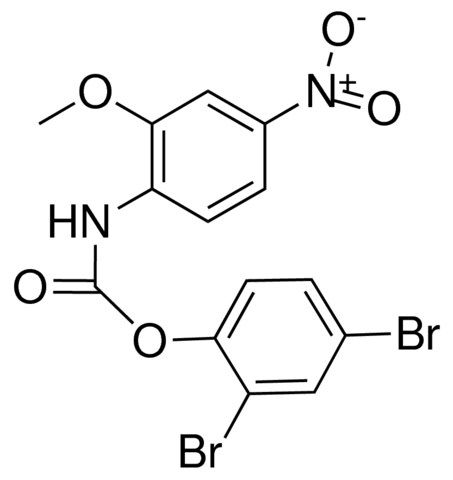 2,4-DIBROMOPHENYL N-(2-METHOXY-4-NITROPHENYL)CARBAMATE