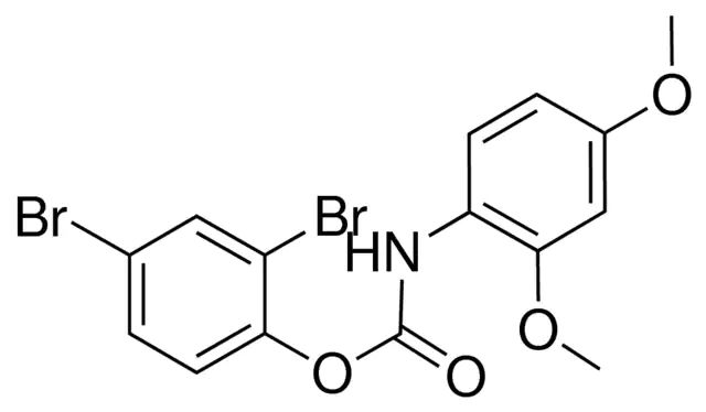 2,4-DIBROMOPHENYL N-(2,4-DIMETHOXYPHENYL)CARBAMATE