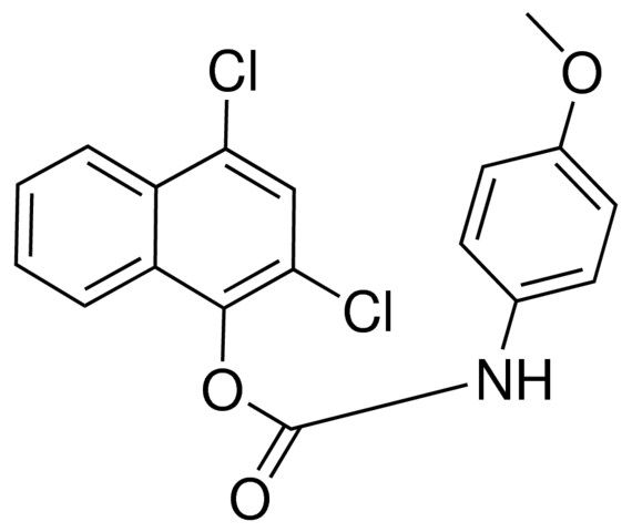 2,4-DICHLORO-1-NAPHTHYL N-(4-METHOXYPHENYL)CARBAMATE