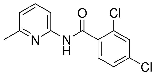 2,4-DICHLORO-N-(6-METHYL-PYRIDIN-2-YL)-BENZAMIDE