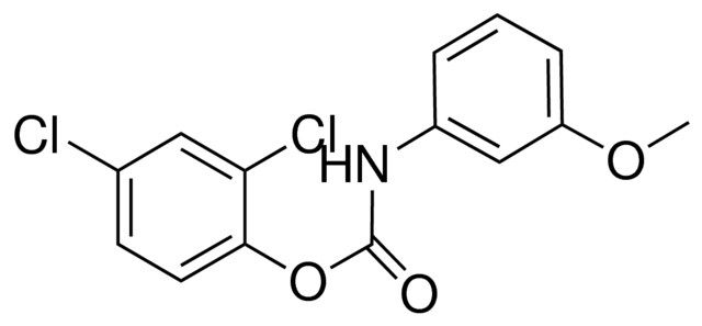 2,4-DICHLOROPHENYL N-(3-METHOXYPHENYL)CARBAMATE