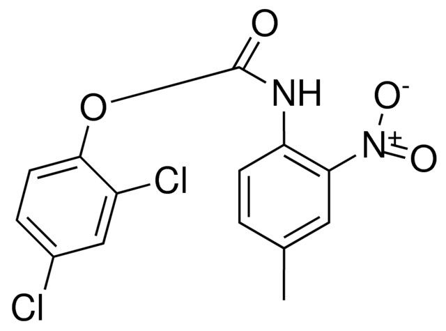 2,4-DICHLOROPHENYL N-(4-METHYL-2-NITROPHENYL)CARBAMATE