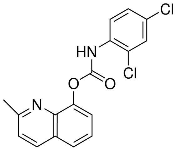 2-METHYL-8-QUINOLYL N-(2,4-DICHLOROPHENYL)CARBAMATE