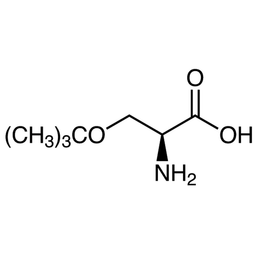 O-tert-Butyl-L-serine