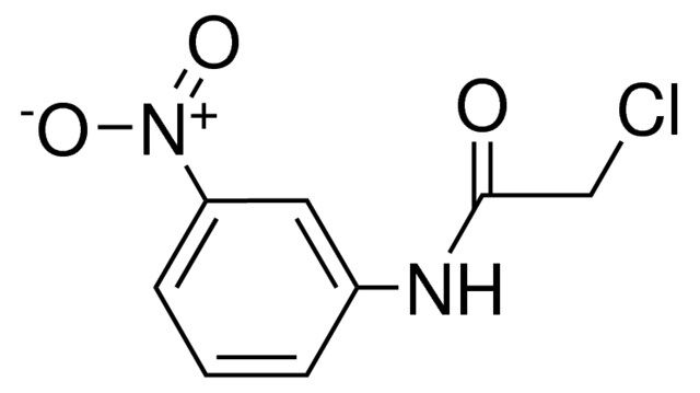 2-Chloro-3'-nitroacetanilide