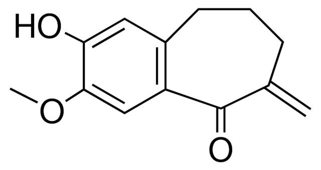 2-HYDROXY-3-METHOXY-6-METHYLENE-6,7,8,9-TETRAHYDRO-BENZOCYCLOHEPTEN-5-ONE