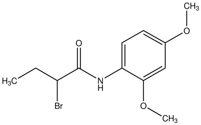 2-Bromo-<i>N</i>-(2,4-dimethoxyphenyl)butanamide