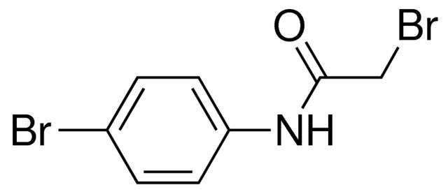 2-bromo-N-(4-bromophenyl)acetamide