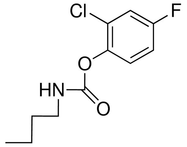 2-CHLORO-4-FLUOROPHENYL N-BUTYLCARBAMATE