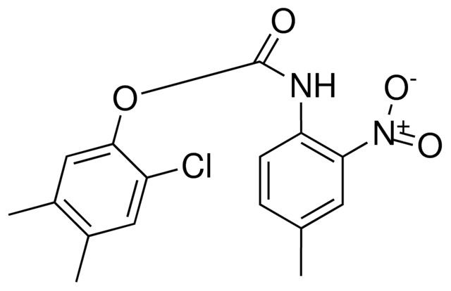 2-CHLORO-4,5-DIMETHYLPHENYL N-(4-METHYL-2-NITROPHENYL)CARBAMATE