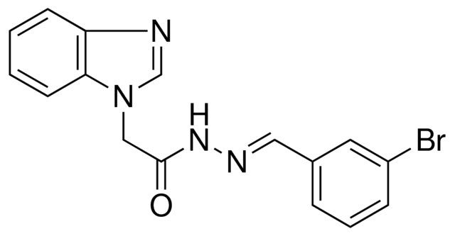 2-BENZOIMIDAZOL-1-YL-ACETIC ACID (3-BROMO-BENZYLIDENE)-HYDRAZIDE