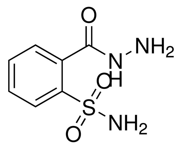 2-(Hydrazinocarbonyl)benzenesulfonamide