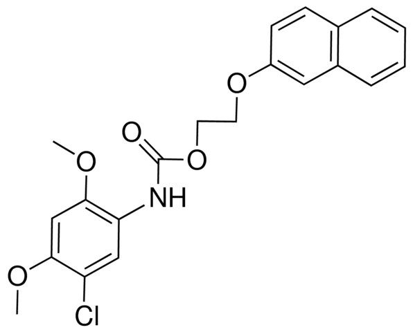 2-(2-NAPHTHOXY)ETHYL N-(5-CHLORO-2,4-DIMETHOXYPHENYL)CARBAMATE