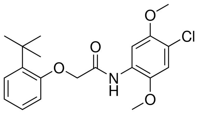 2-(2-TERT-BUTYL-PHENOXY)-N-(4-CHLORO-2,5-DIMETHOXY-PHENYL)-ACETAMIDE