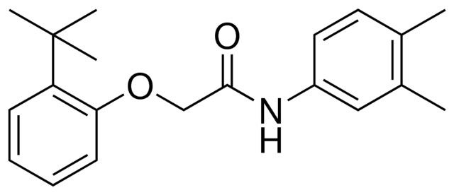 2-(2-TERT-BUTYL-PHENOXY)-N-(3,4-DIMETHYL-PHENYL)-ACETAMIDE