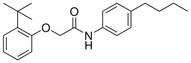 2-(2-TERT-BUTYL-PHENOXY)-N-(4-BUTYL-PHENYL)-ACETAMIDE