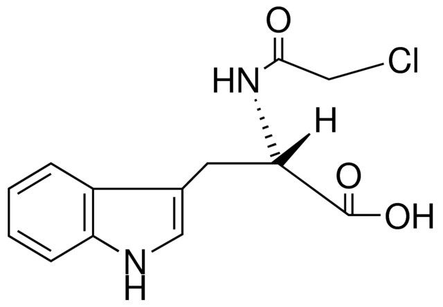 2-(2-CHLORO-ACETYLAMINO)-3-(1H-INDOL-3-YL)-PROPIONIC ACID