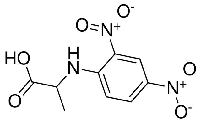 2-(2,4-dinitroanilino)propanoic acid