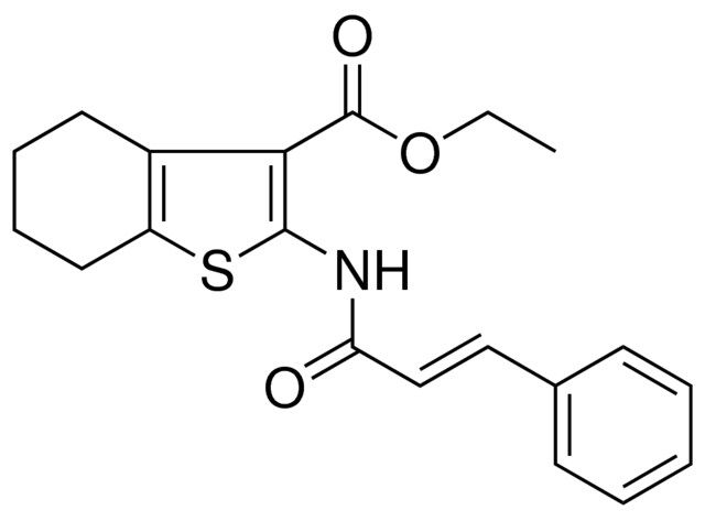 2-(3-PH-ACRYLOYLAMINO)-4,5,6,7-4H-BENZO(B)THIOPHENE-3-CARBOXYLIC ACID ET ESTER