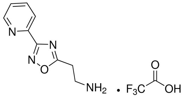 2-(3-Pyridin-2-yl-1,2,4-oxadiazol-5-yl)ethanamine trifluoroacetate salt