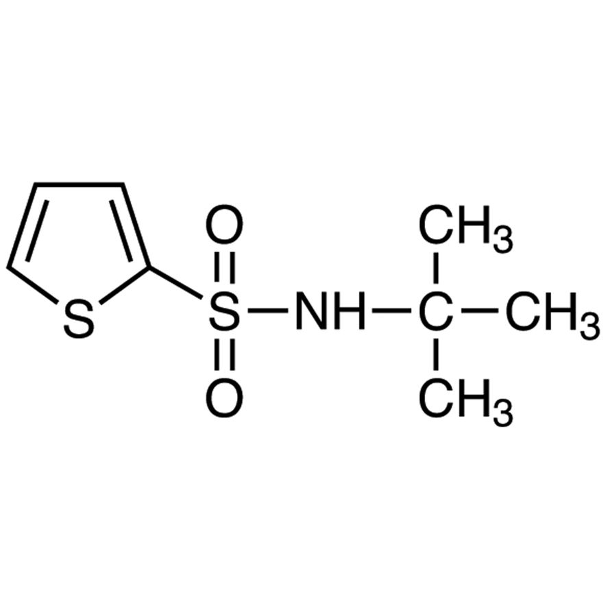 N-tert-Butyl-2-thiophenesulfonamide