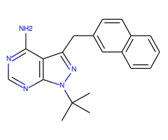 1-NM-PP1