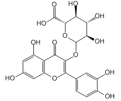 Quercetin 3-glucuronide