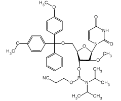 rU Phosphoramidite