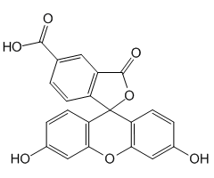 5-Carboxyfluorescein