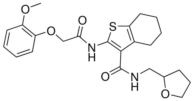 2-{[(2-METHOXYPHENOXY)ACETYL]AMINO}-N-(TETRAHYDRO-2-FURANYLMETHYL)-4,5,6,7-TETRAHYDRO-1-BENZOTHIOPHENE-3-CARBOXAMIDE