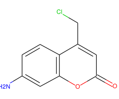 CellHunt Blue CMAC