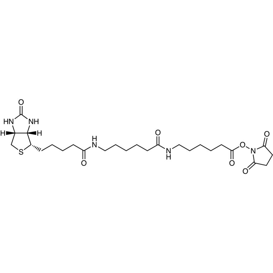 Biotin-LC-LC-NHS (2mg×5)