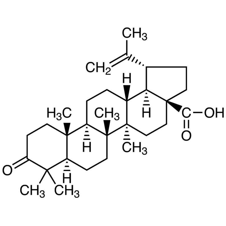 Betulonic Acid