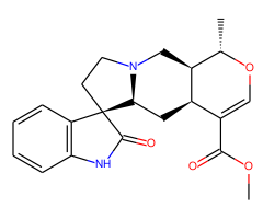 Rhynchophylline E