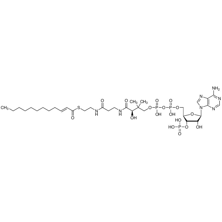 2-trans-Dodecenoyl-Co A