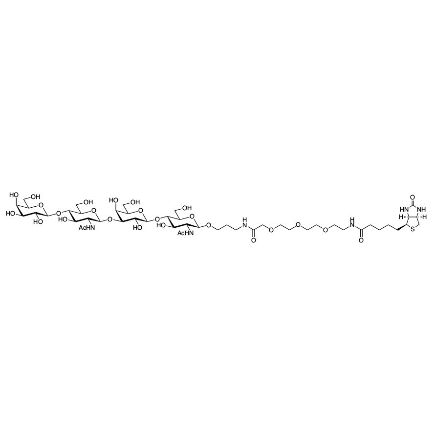 L1-L1-β-PEG3-biotin