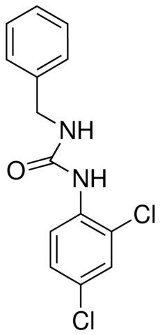 1-BENZYL-3-(2,4-DICHLOROPHENYL)UREA