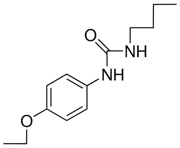 1-BUTYL-3-(4-ETHOXYPHENYL)UREA