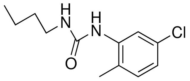 1-BUTYL-3-(5-CHLORO-2-METHYLPHENYL)UREA