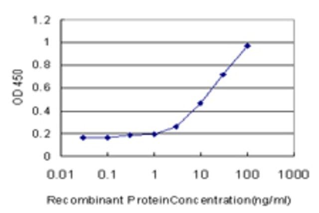 Monoclonal Anti-RPL32 antibody produced in mouse