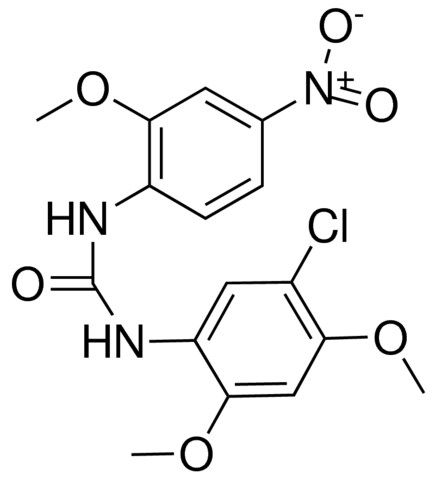 1-(5-CHLORO-2,4-DIMETHOXYPHENYL)-3-(2-METHOXY-4-NITROPHENYL)UREA