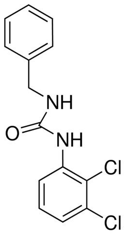 1-BENZYL-3-(2,3-DICHLOROPHENYL)UREA