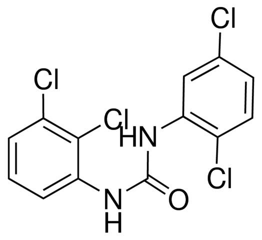 1-(2,3-DICHLOROPHENYL)-3-(2,5-DICHLOROPHENYL)UREA